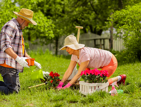 Service Details Image