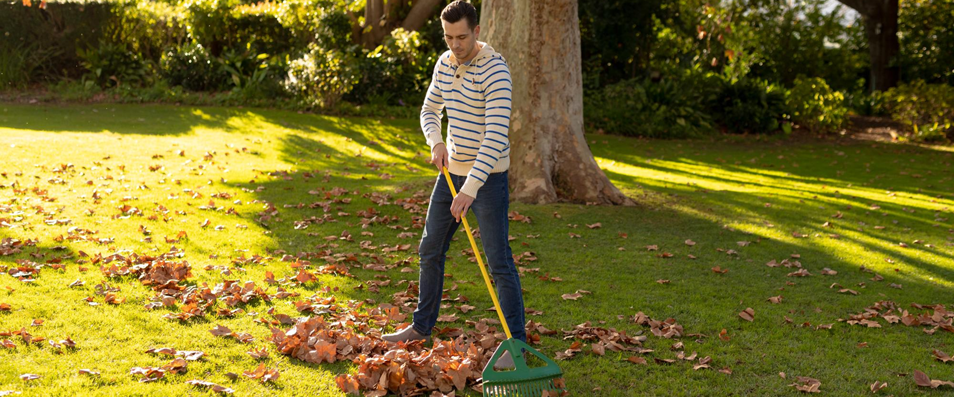 Service Details Hero Image