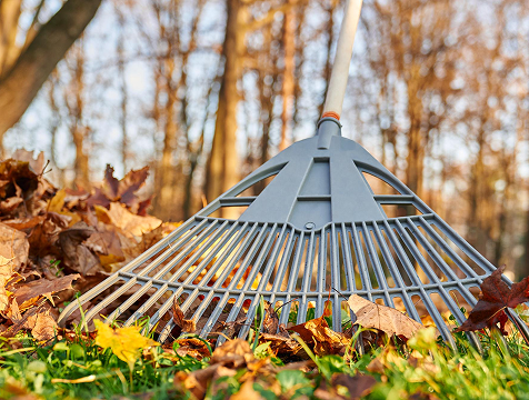 Service Details Image