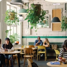 Intérieur d'un café avec des clients assis aux tables et de nombreuses plantes suspendues au plafond.
