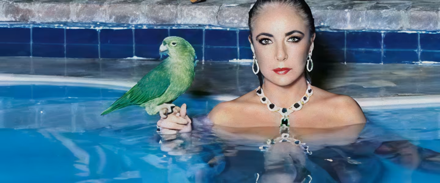 Artistic portrait of a woman wearing a luxury necklace in a blue pool, with a green parrot perched on her hand at Ezio's restaurant.