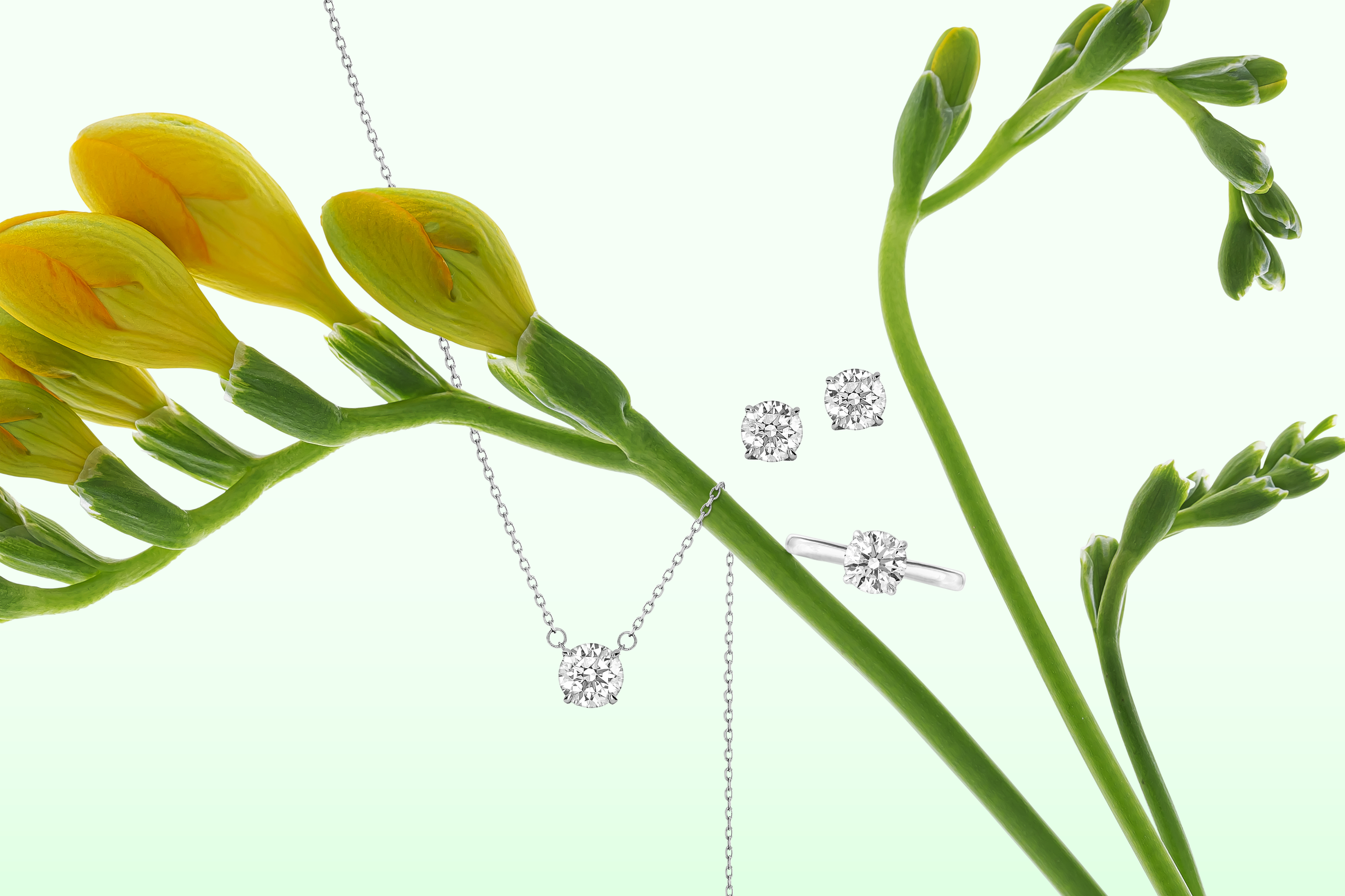 フリージアの花とダイヤモンドのイメージ