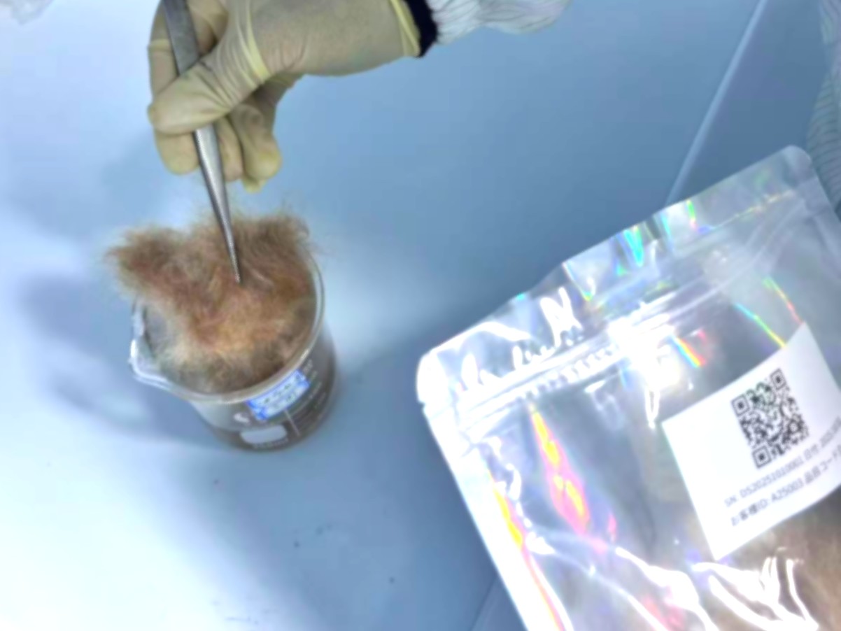 髪を洗う様子のイメージ（遺髪採取を想起させる）