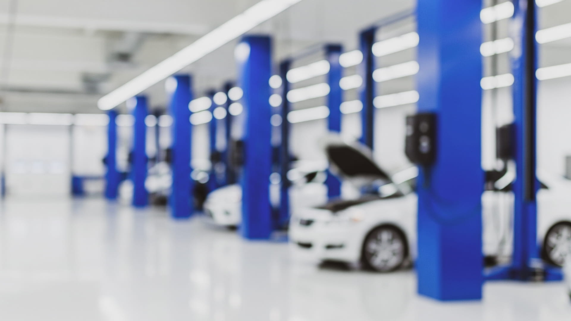 Blurred image of a modern car repair workshop with white cars on blue hydraulic lifts.