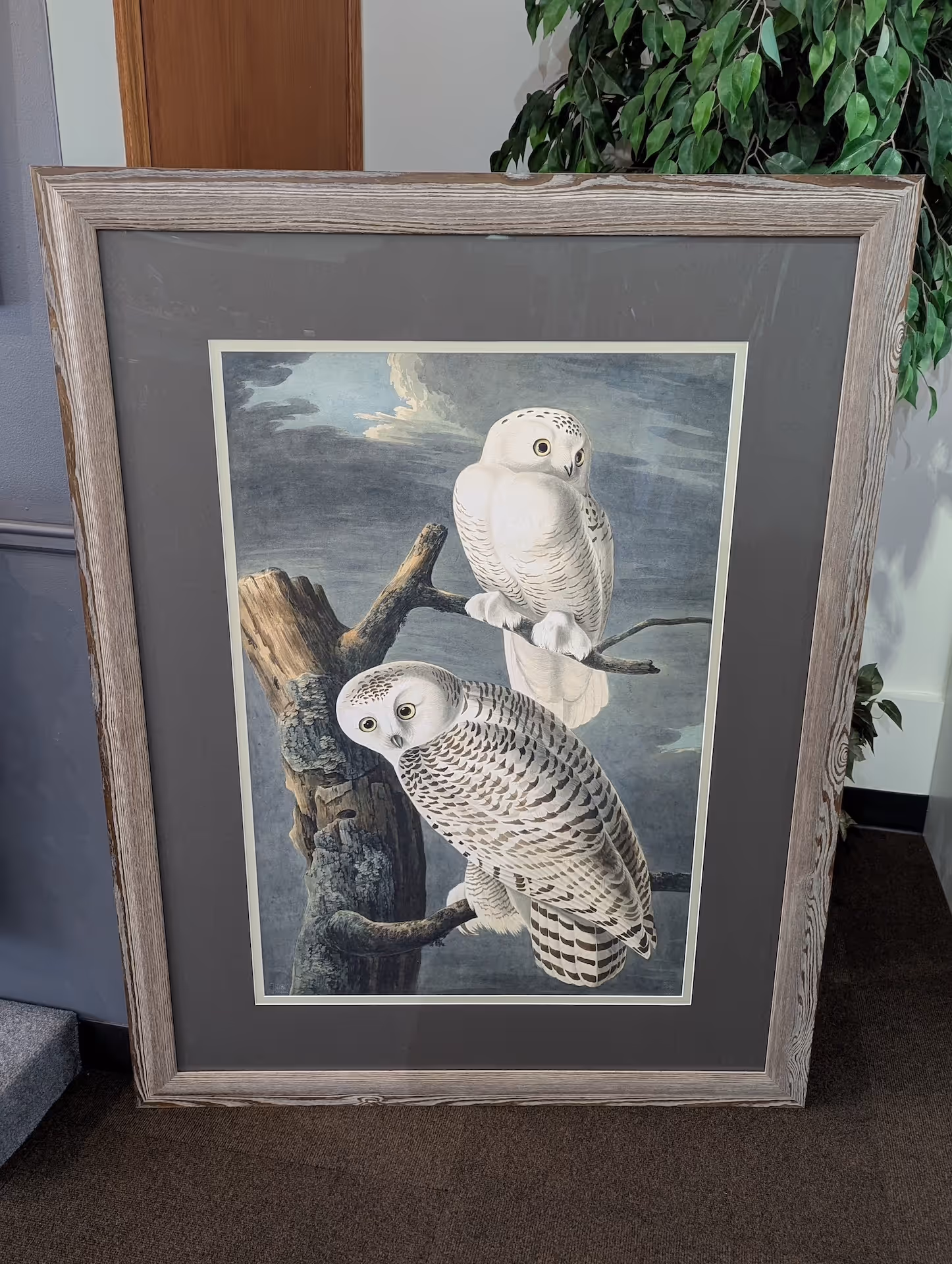 Framed artwork of two snowy owls perched on tree branches against a cloudy sky background.