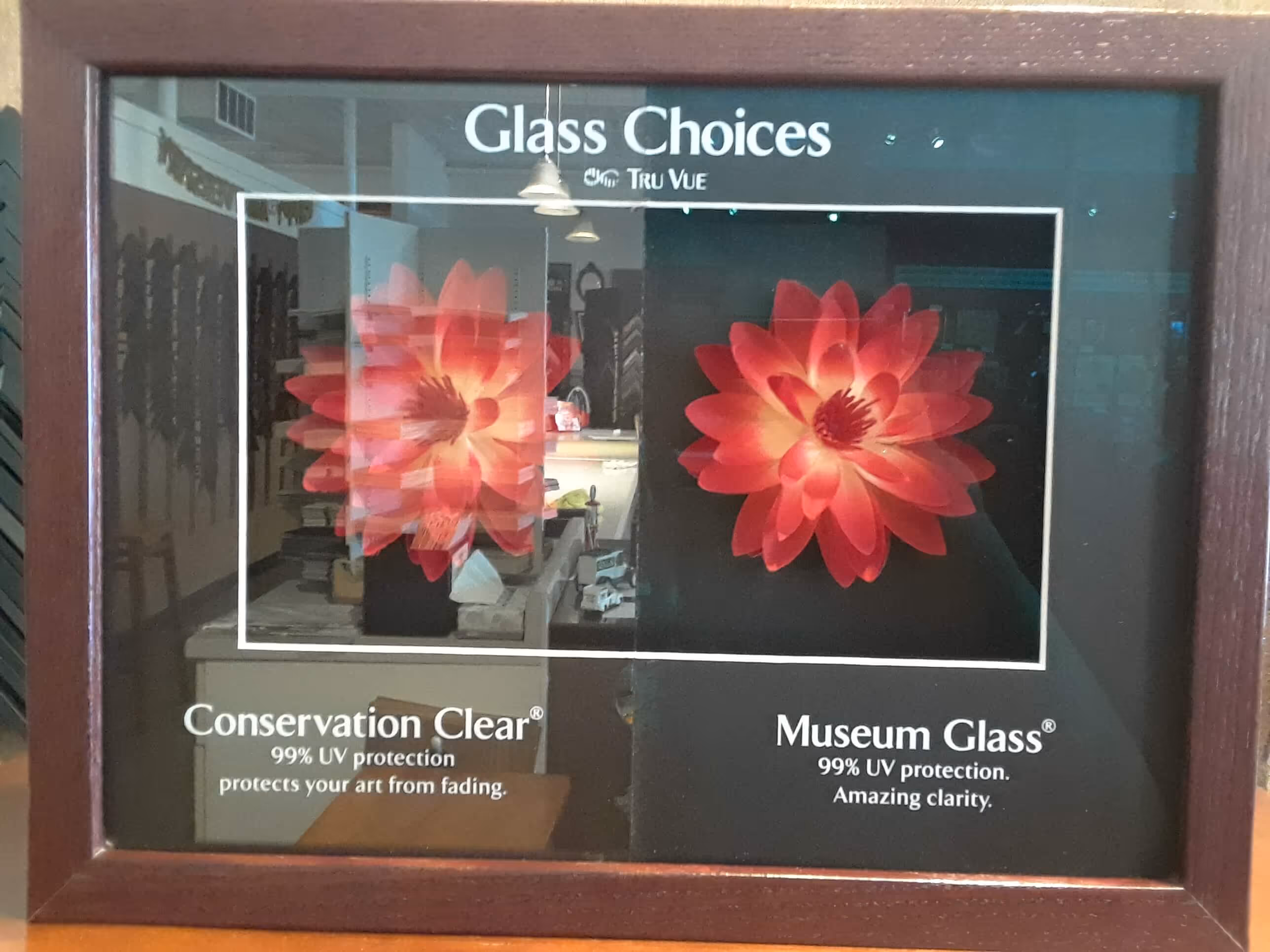 Comparison of two glass types showing clarity difference with a red flower behind each: Conservation Clear glass with some reflection and Museum Glass with clear, sharp view.