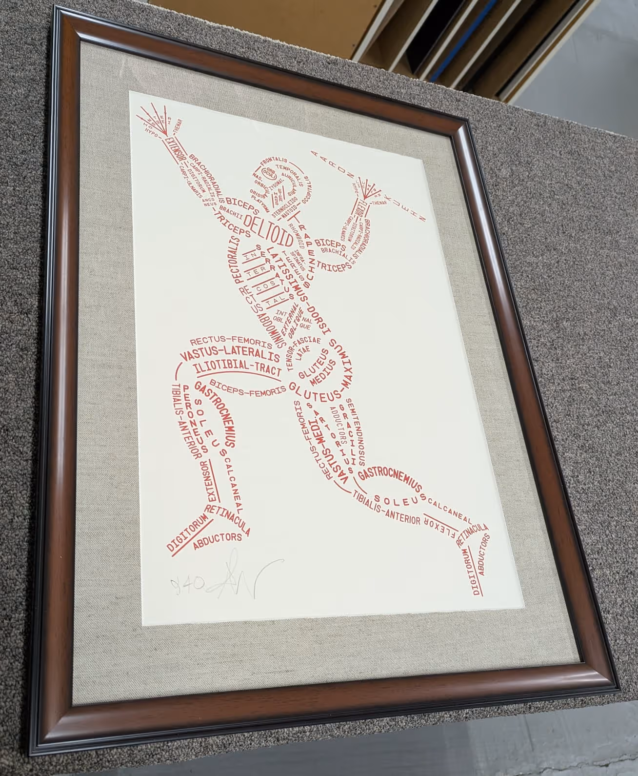 Framed artwork showing a human figure composed of red anatomical muscle names arranged to form the body's outline and pose.
