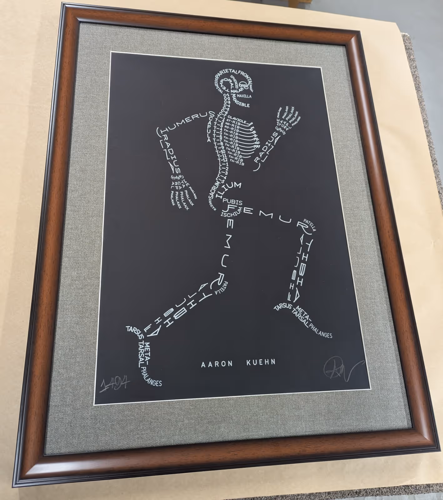 Framed black and white illustration of a human skeleton formed from anatomical bone names by Aaron Kuehn.