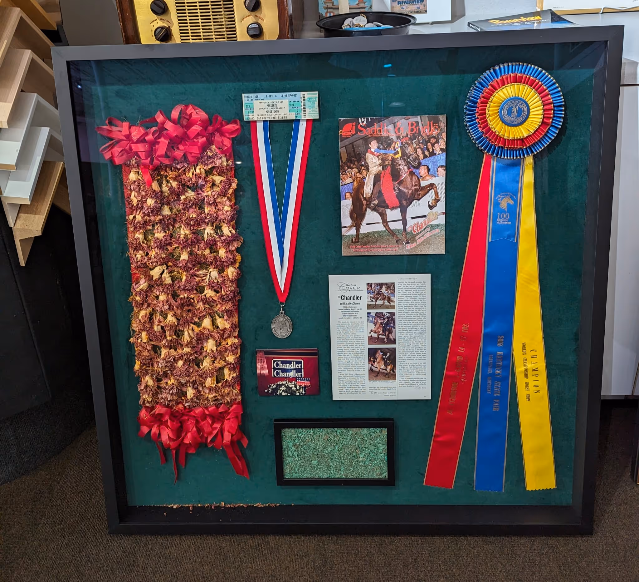 Framed display of horse show awards including a flower lei, medal with ribbon, magazine cover featuring a horse rider, text article, business card, and large colorful ribbons.