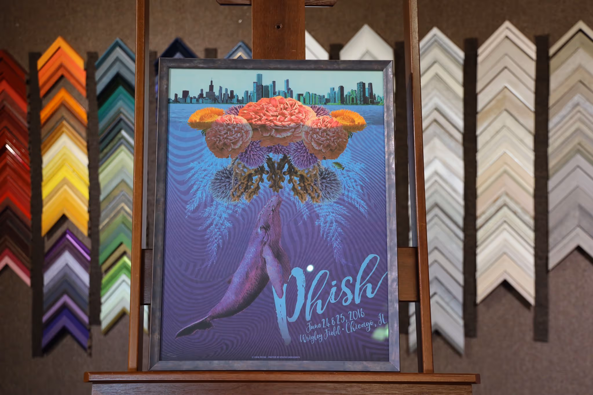 Framed Phish concert poster featuring a whale swimming upward with flowers above and a Chicago skyline background.