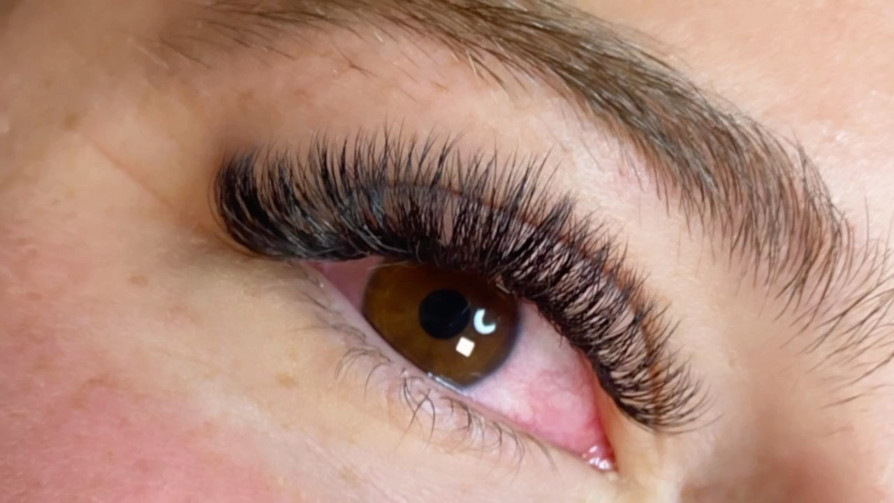 Nahaufnahme eines braunen Auges mit langen, dichten Wimpernextensions und einer gepflegten Augenbraue.