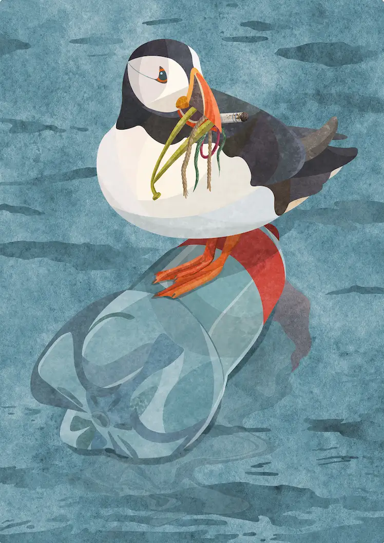 Illustration of a puffin with some trash in its bill, resting on a Coca-Cola empty bottle in the sea.