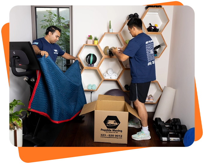 Payable Moving team packing a home gym, wrapping equipment and placing items from hexagon shelves into a moving box inside a modern workout room