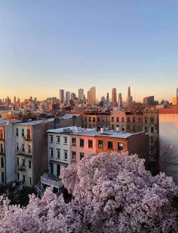 Wide view of Brooklyn
