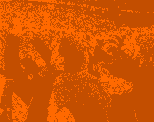 How authentic fan content boosts sponsorship value