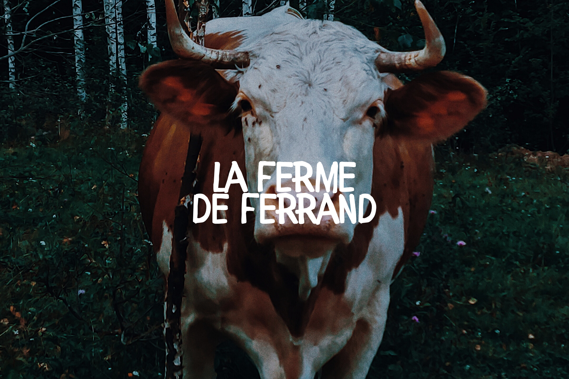 Vache brun et blanc avec cornes, dans un champ verdoyant avec arbres en arrière-plan.