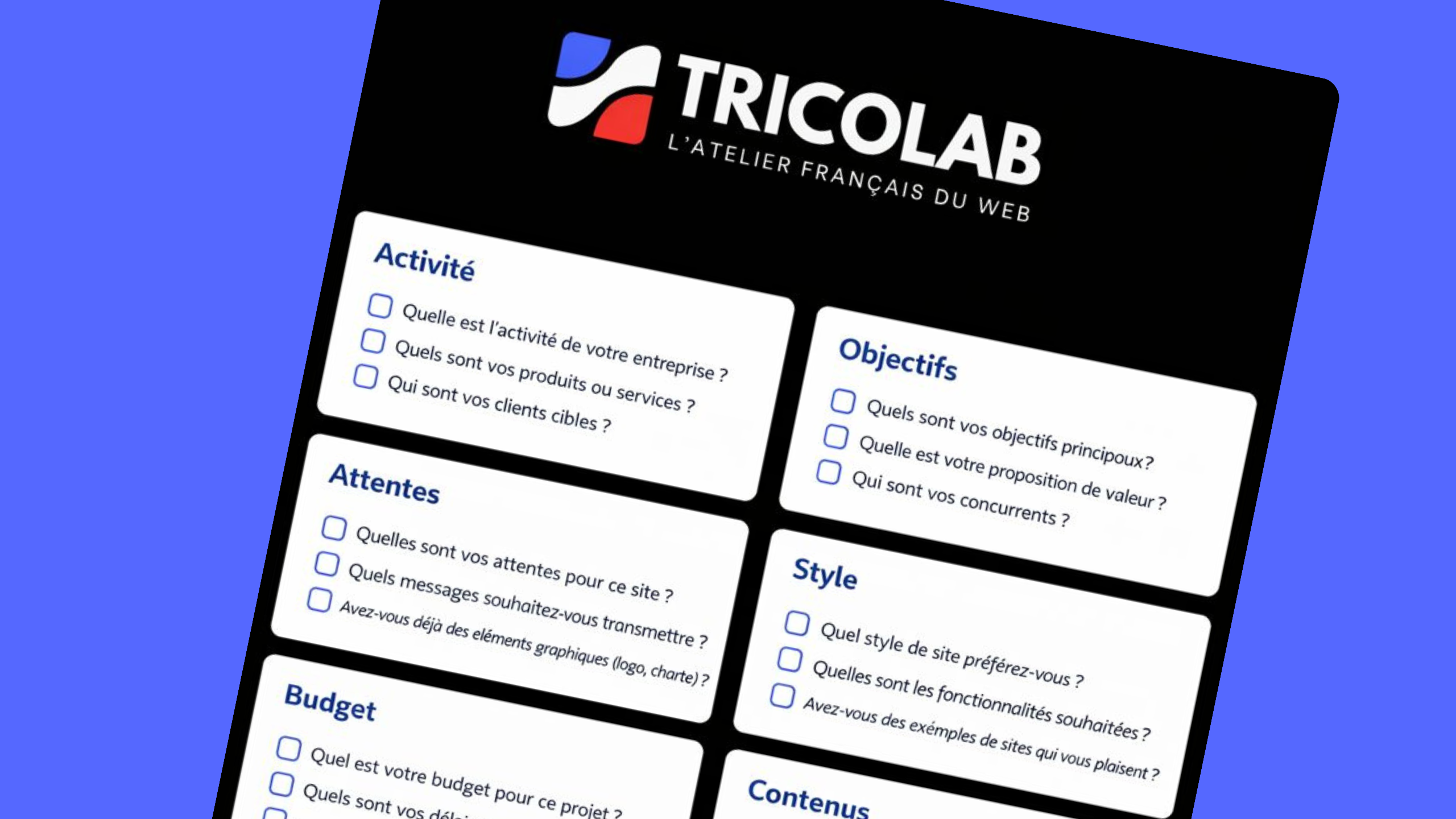 Formulaire de brief client de Tricolab avec sections sur l'activité, les objectifs, les attentes, le style, le budget et les contenus d'un site web.