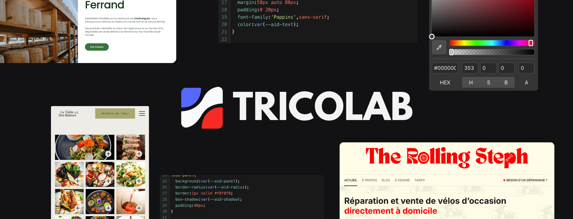 Capture d'écrans variées montrant des pages web de restaurants, une ferme, un logo Tricolab, et un site de réparation de vélos.