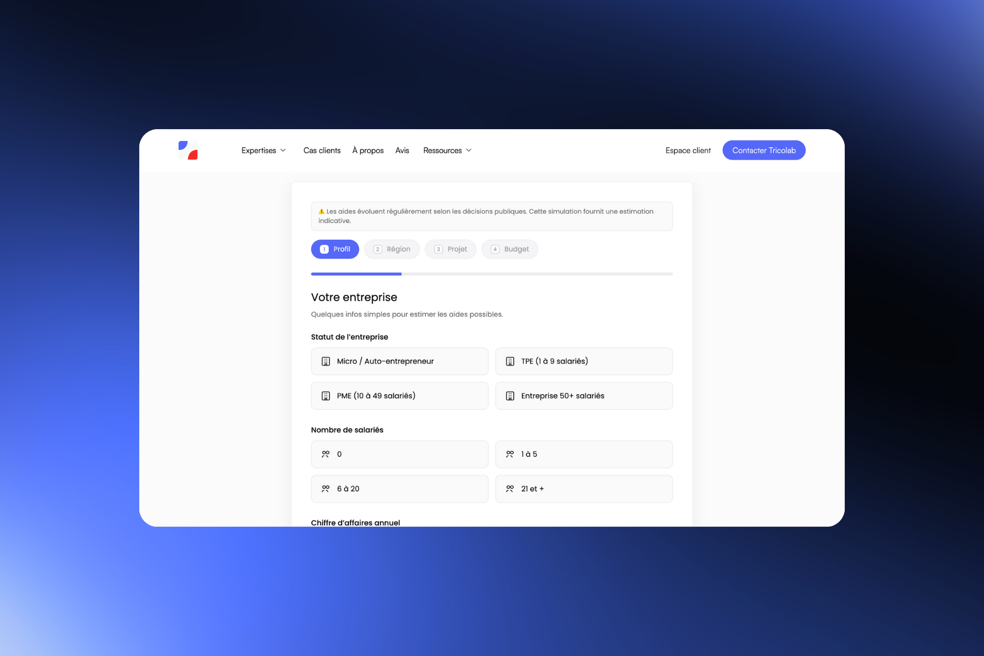 Formulaire en ligne pour estimer les aides possibles à une entreprise, comprenant les étapes Profil, Région, Projet, Budget, avec options pour le statut et le nombre de salariés.