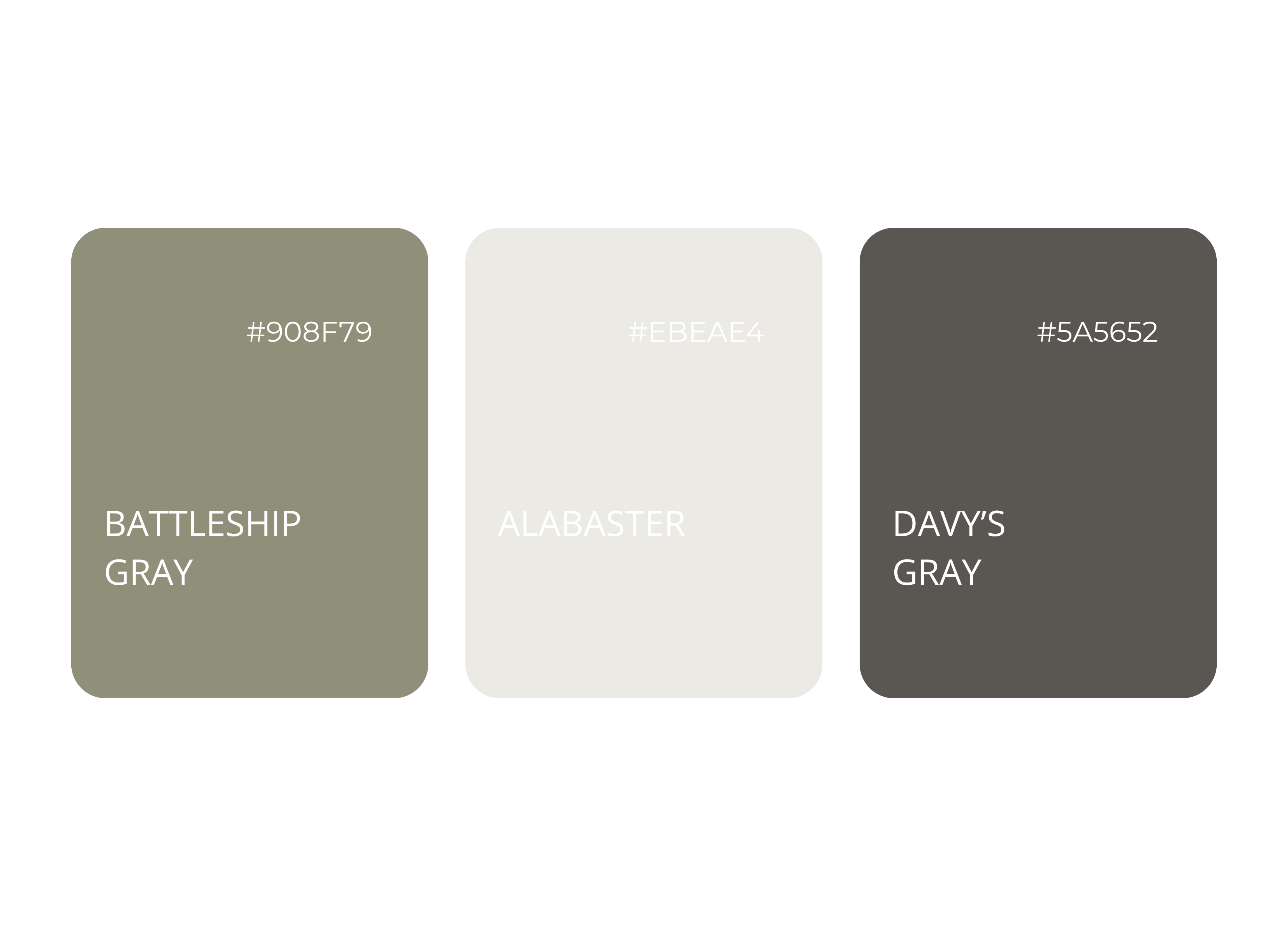 Trois échantillons de couleurs grisâtres avec leurs codes hexadécimaux : Battleship Gray (#908F79), Alabaster (#EBEAE4), et Davy’s Gray (#5A5652).