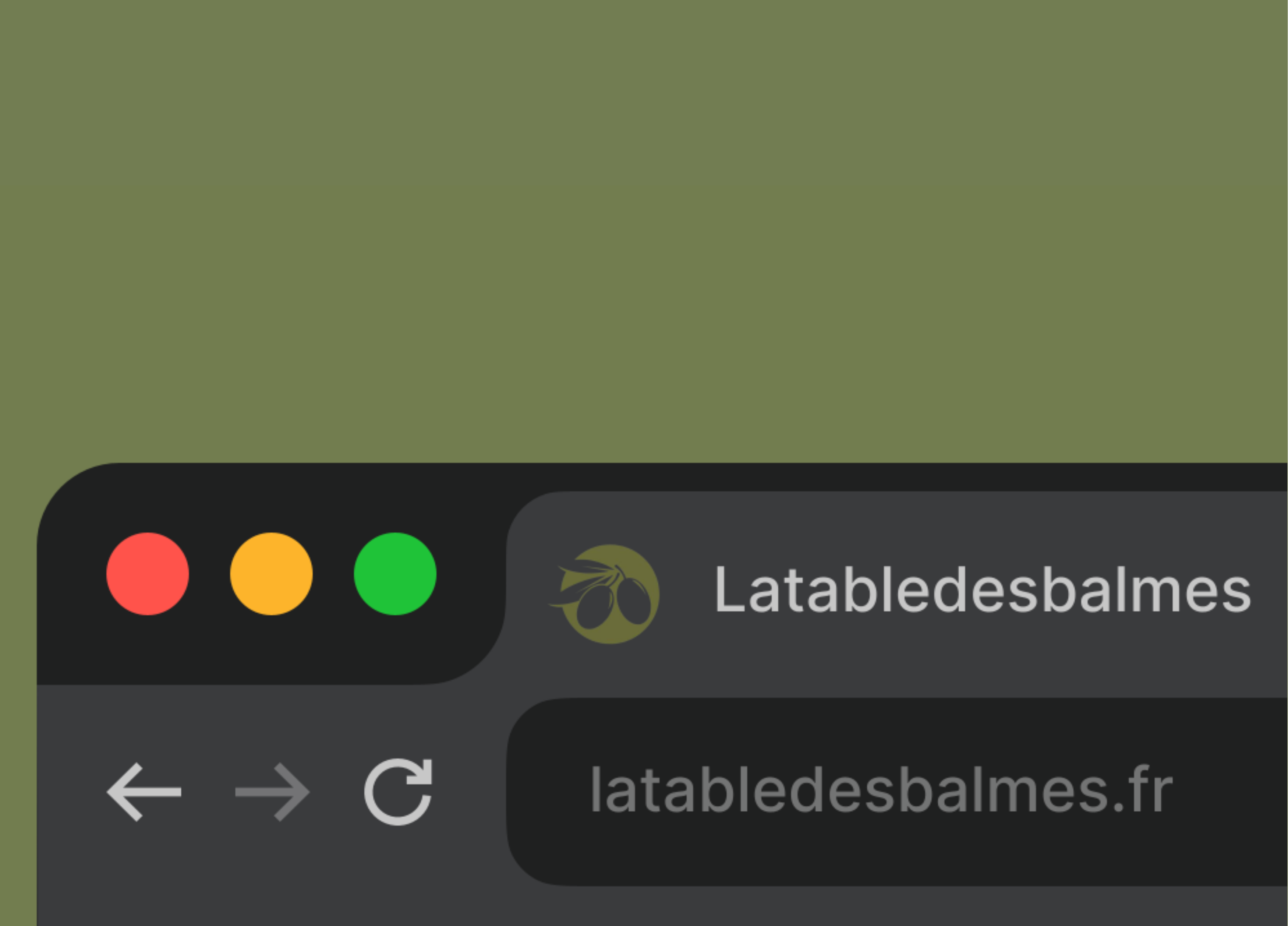 Vue d'une fenêtre de navigateur avec l'adresse latabledesbalmes.fr et une icône d'olive verte.