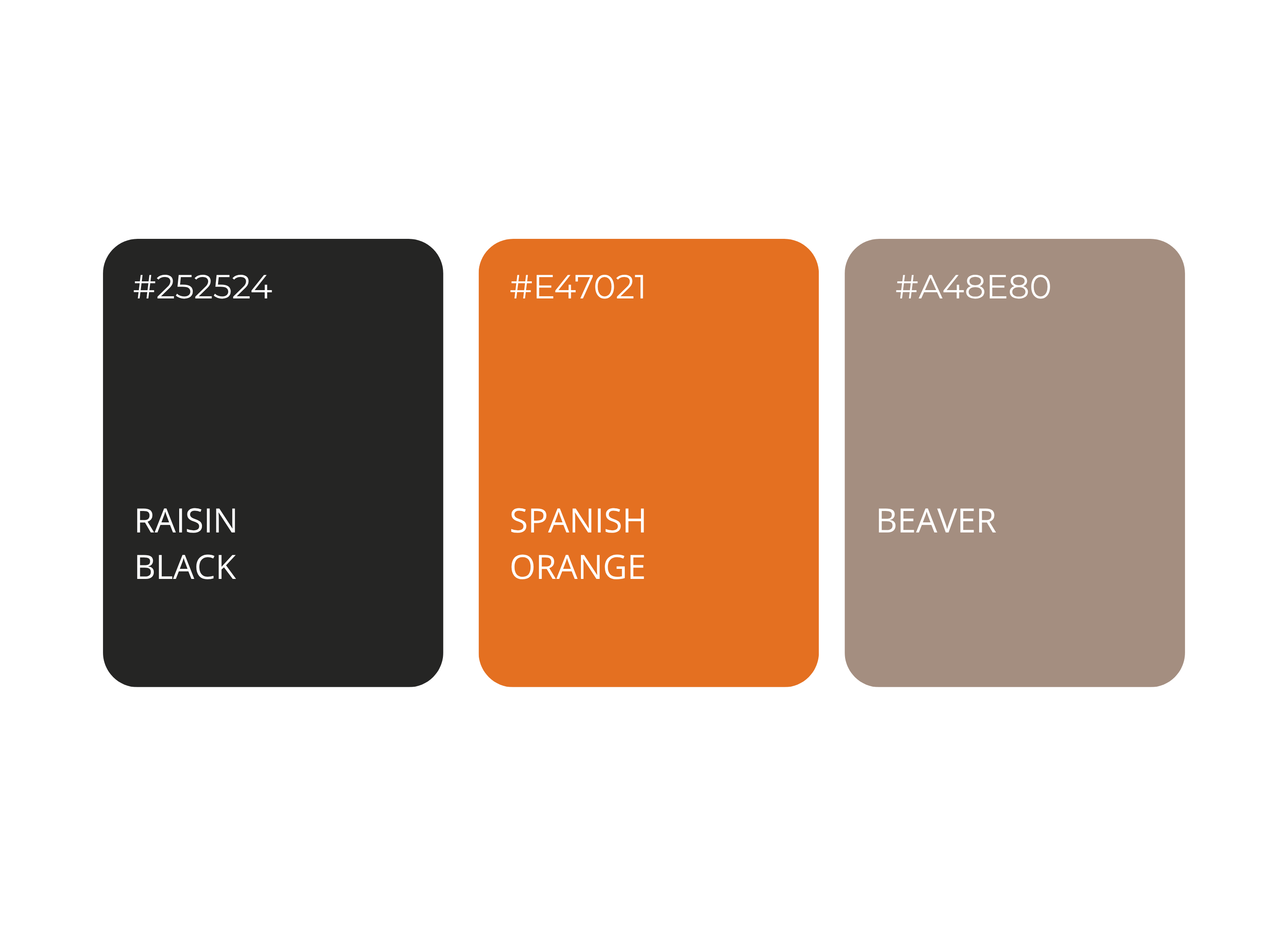 Trois carrés de couleurs avec leurs codes hexadécimaux : Raisin Black #252524, Spanish Orange #E47021, et Beaver #A48E80.
