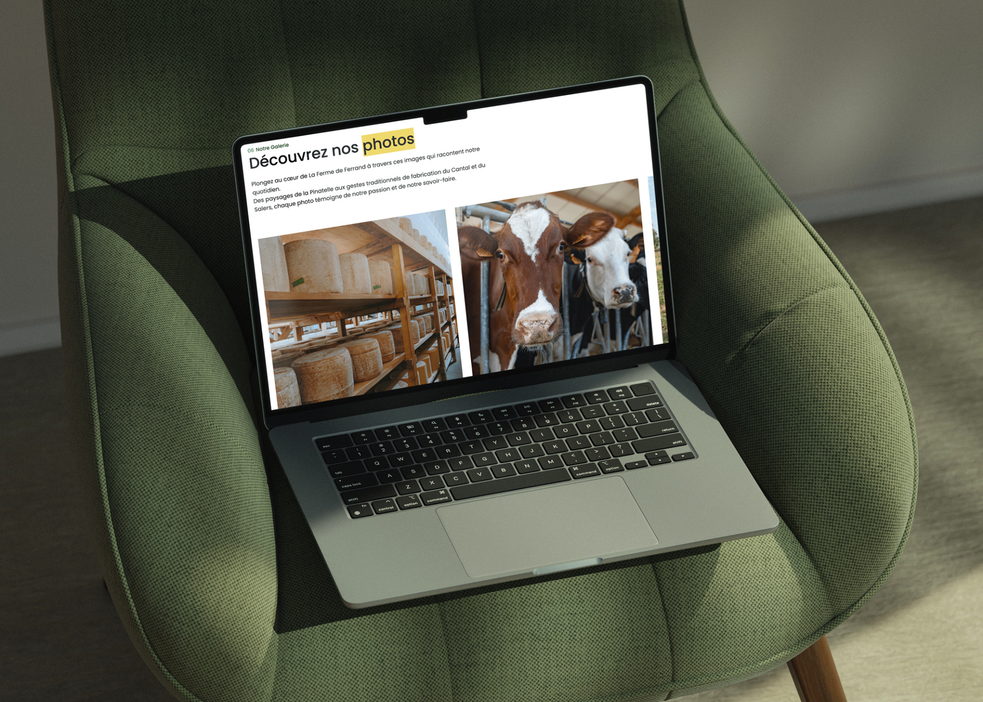 Ordinateur portable ouvert posé sur un fauteuil vert, affichant une page web avec des images de fromages et de vaches.