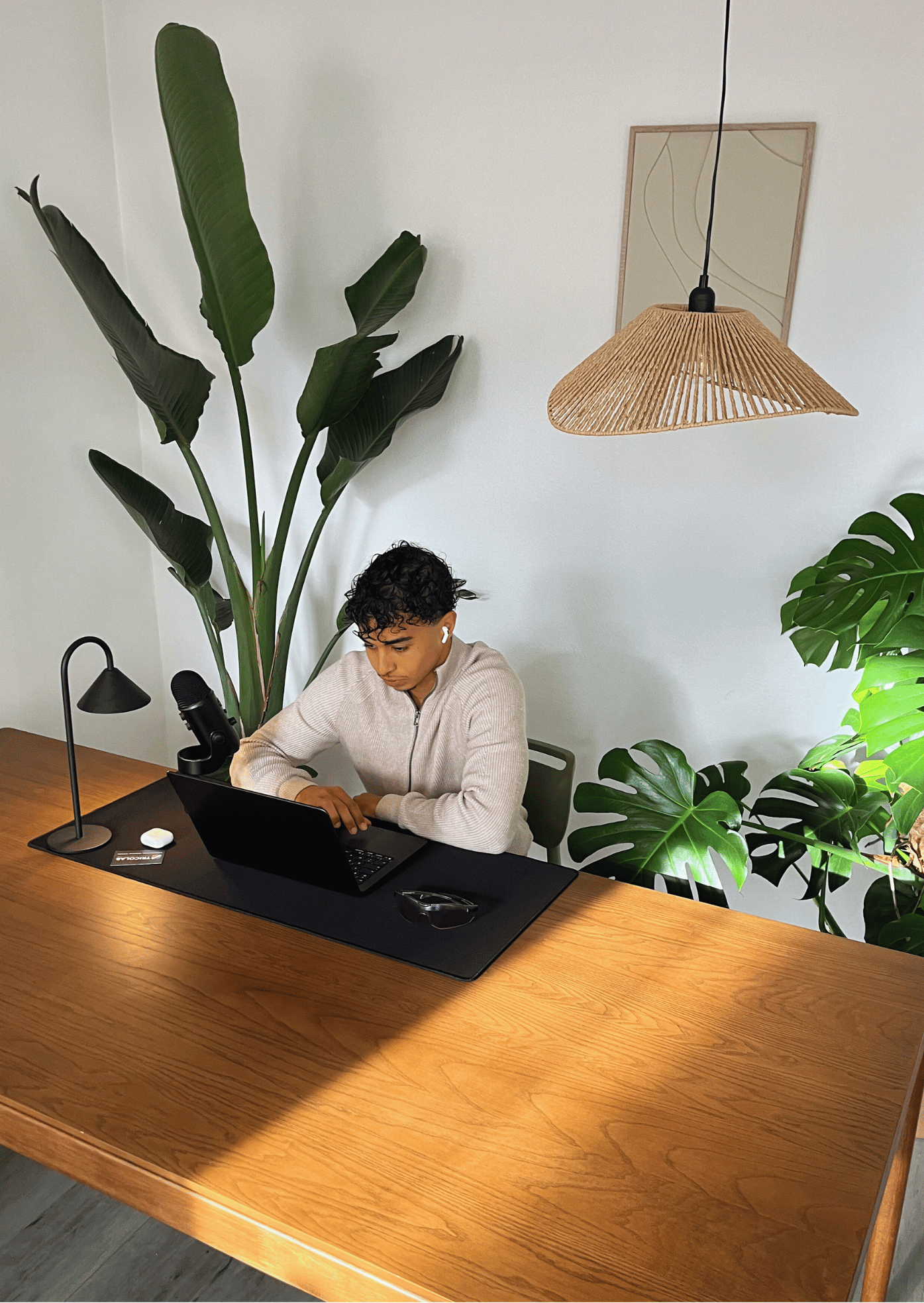 Un homme assis à une grande table en bois avec un ordinateur portable, entouré de plantes vertes et d'une lampe suspendue en osier.