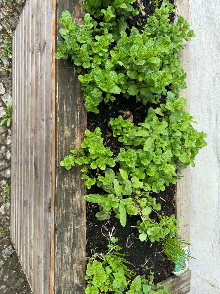 Hochbeet auf dem Moritzhof