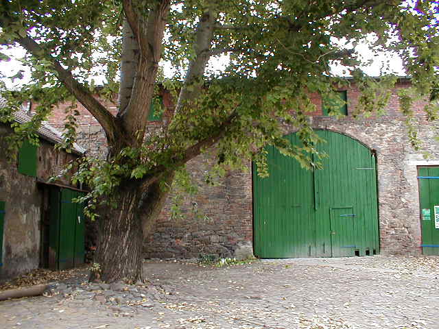 Das Tor des Moritzhof von der Innenseite fotografiert. 