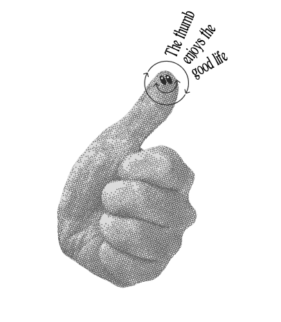 Le pouce préhenseur