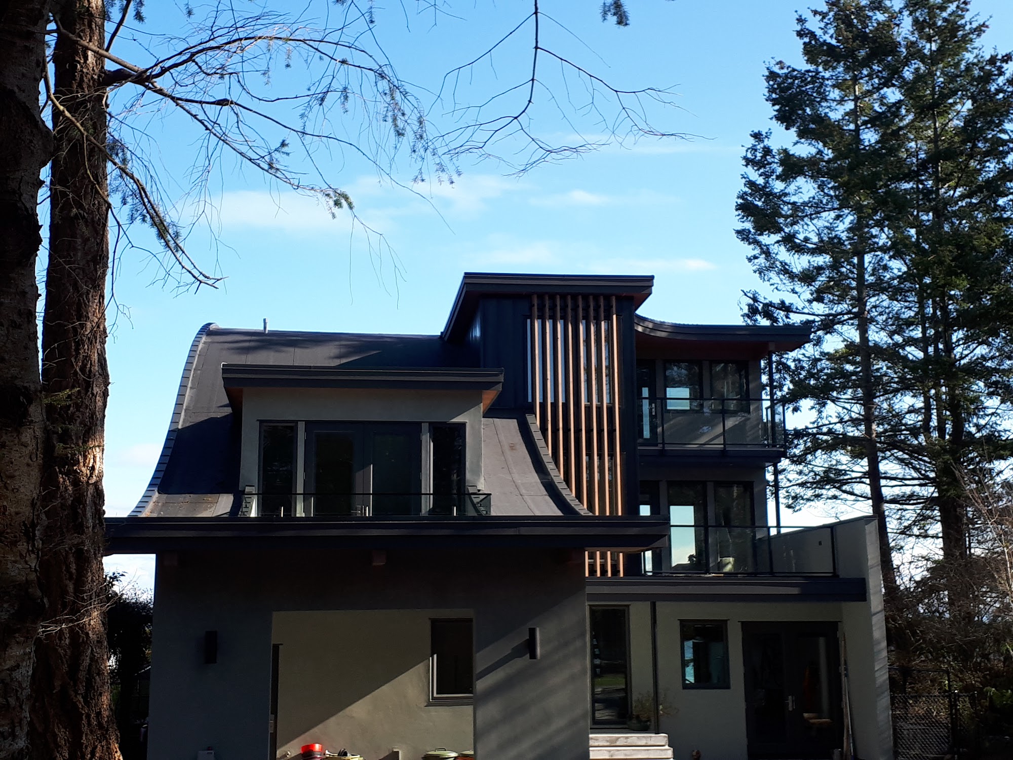Astra Road Residence — completed roof by Nelson Roofing (photo 6)