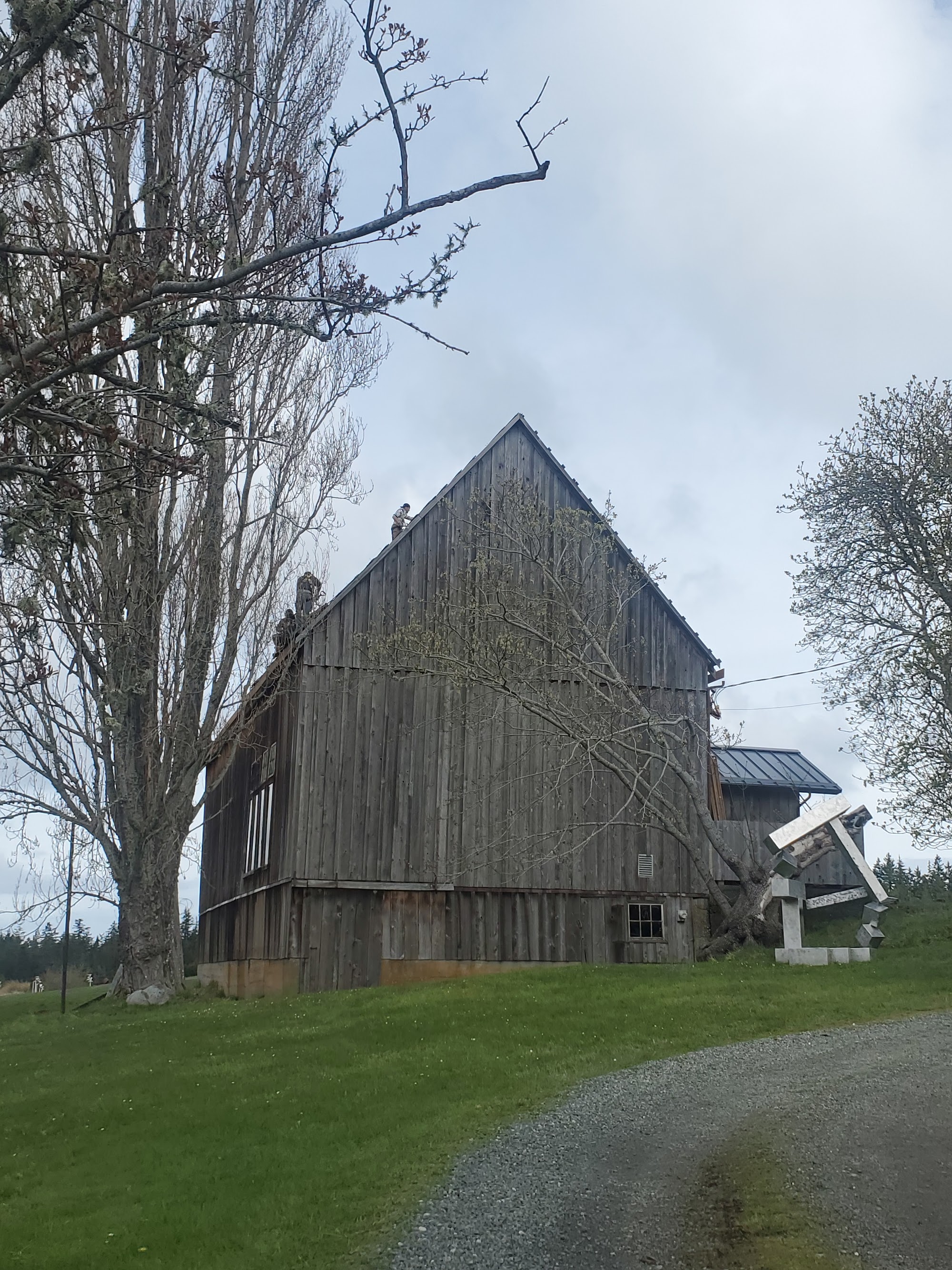 Jeffrey Rubinoff Sculpture Park — completed roof by Nelson Roofing (photo 9)