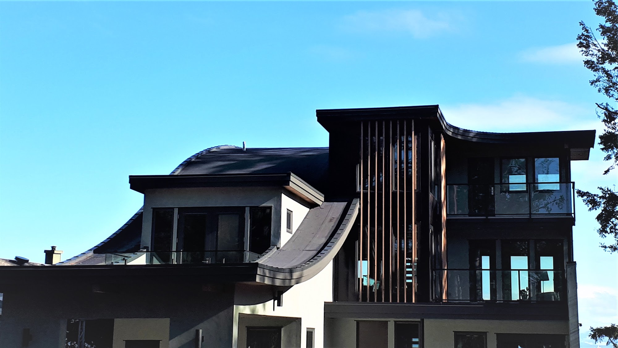 Astra Road Residence — completed roof by Nelson Roofing (photo 1)
