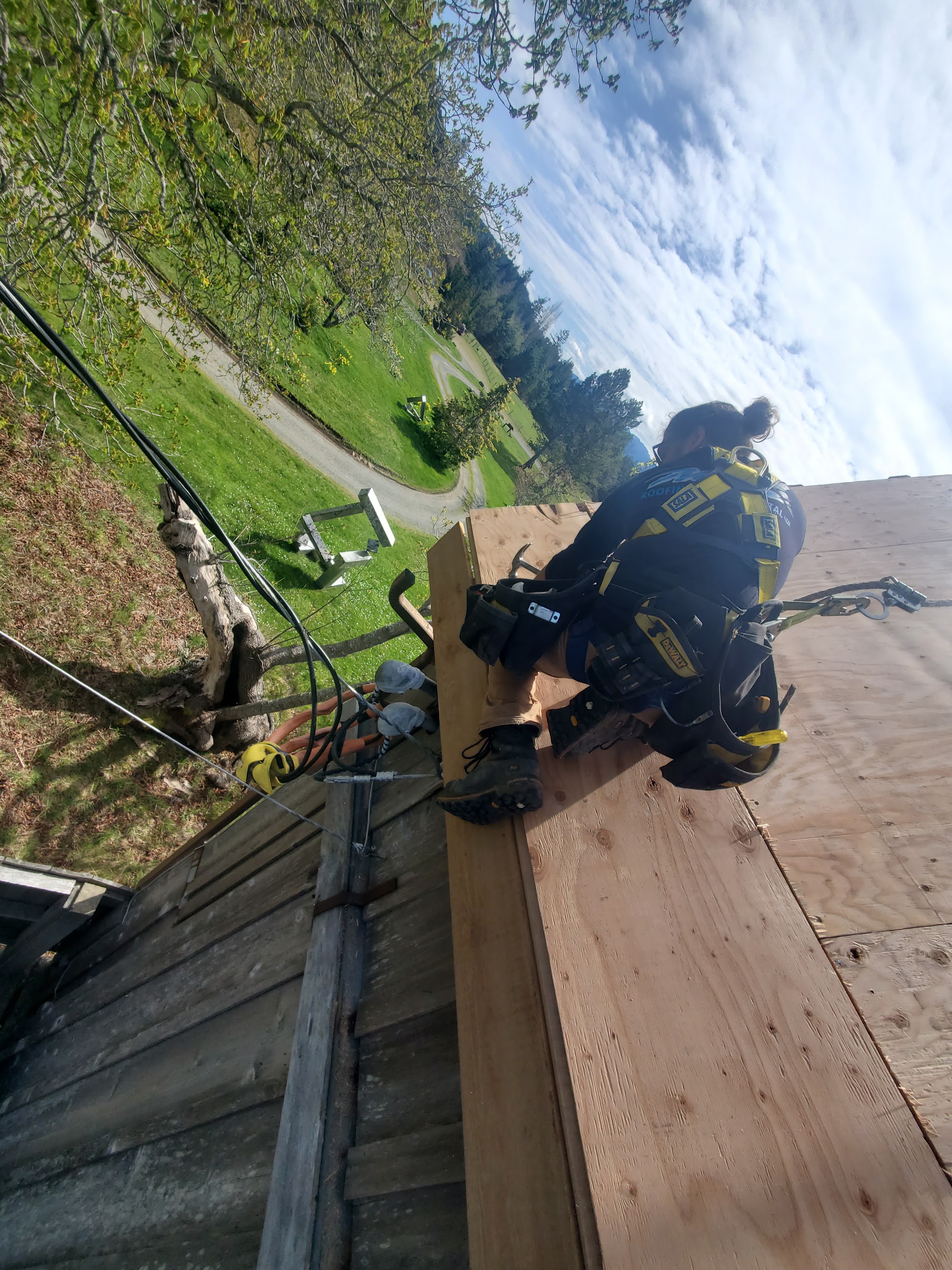 Jeffrey Rubinoff Sculpture Park — roof installation in progress by Nelson Roofing (photo 12)