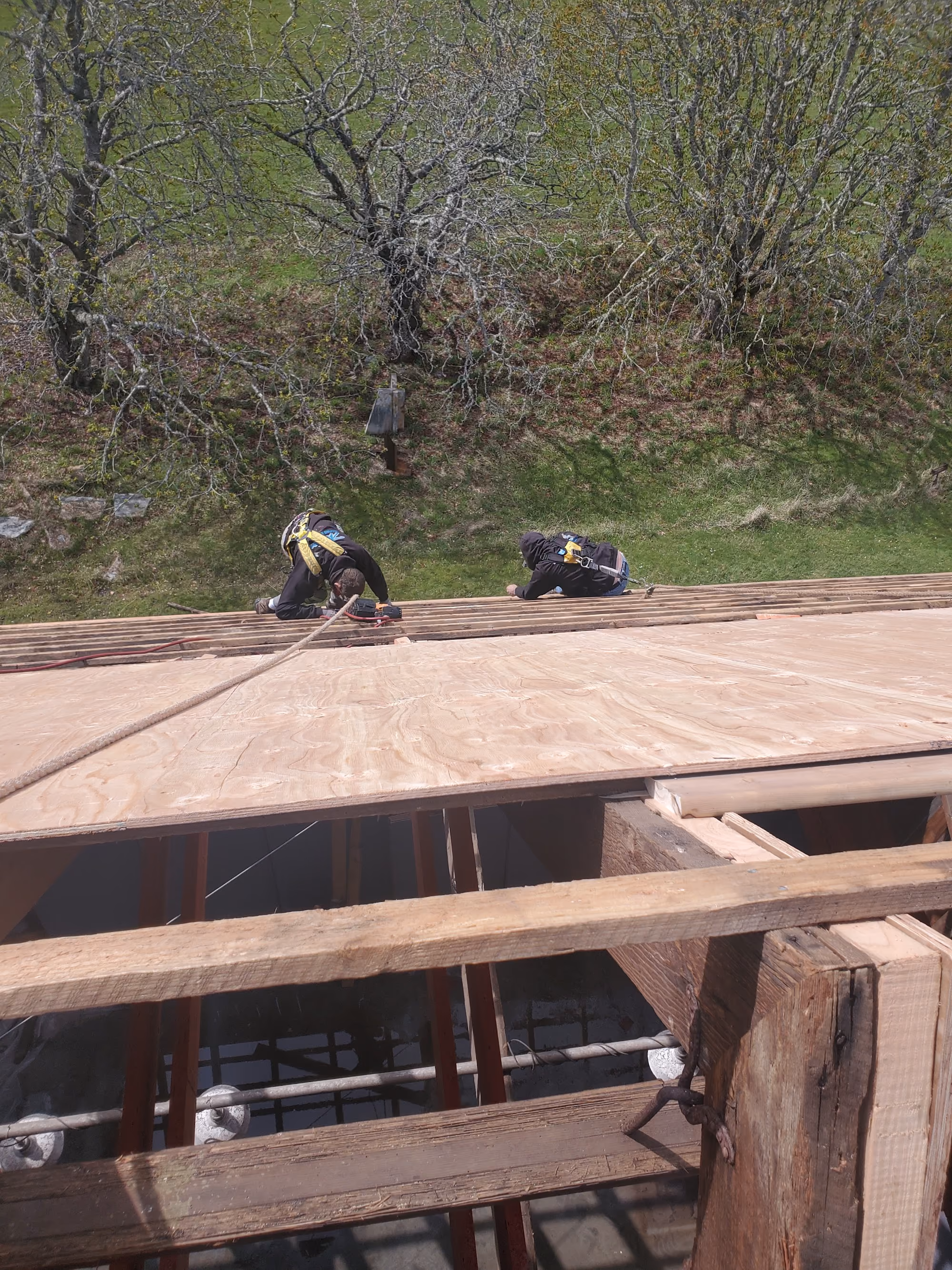 Jeffrey Rubinoff Sculpture Park — roof installation in progress by Nelson Roofing (photo 14)