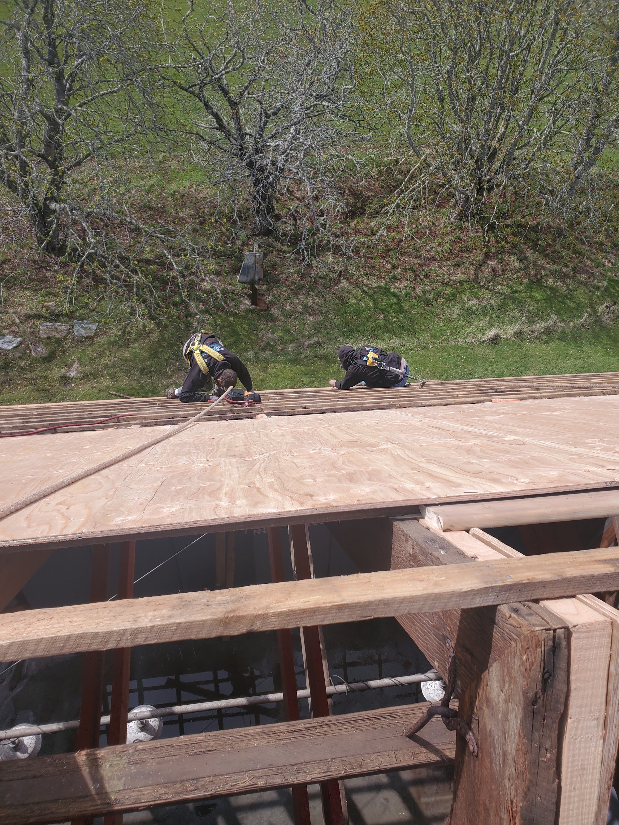 Jeffrey Rubinoff Sculpture Park — roof installation in progress by Nelson Roofing (photo 14)