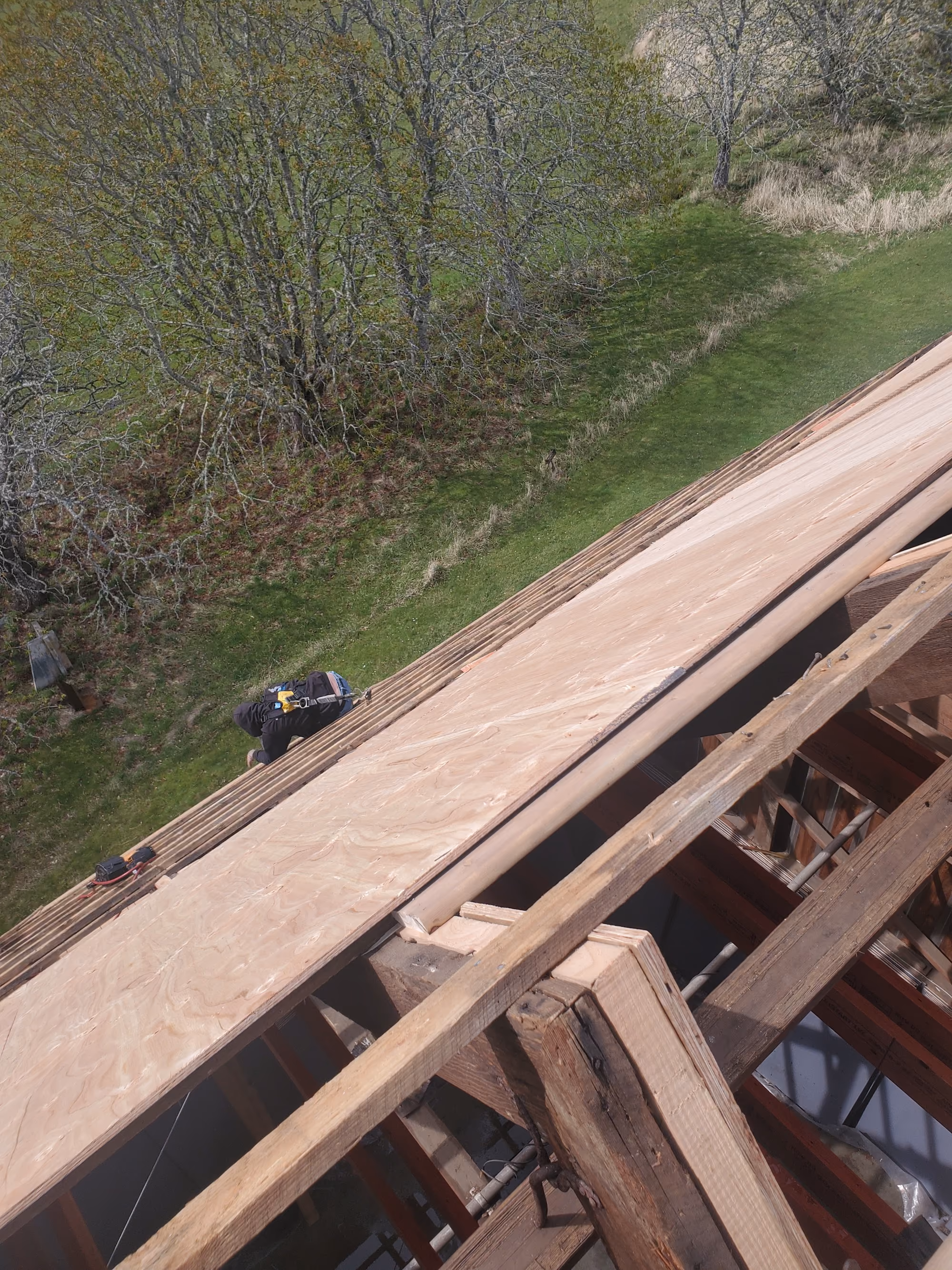 Jeffrey Rubinoff Sculpture Park — roof installation in progress by Nelson Roofing (photo 7)