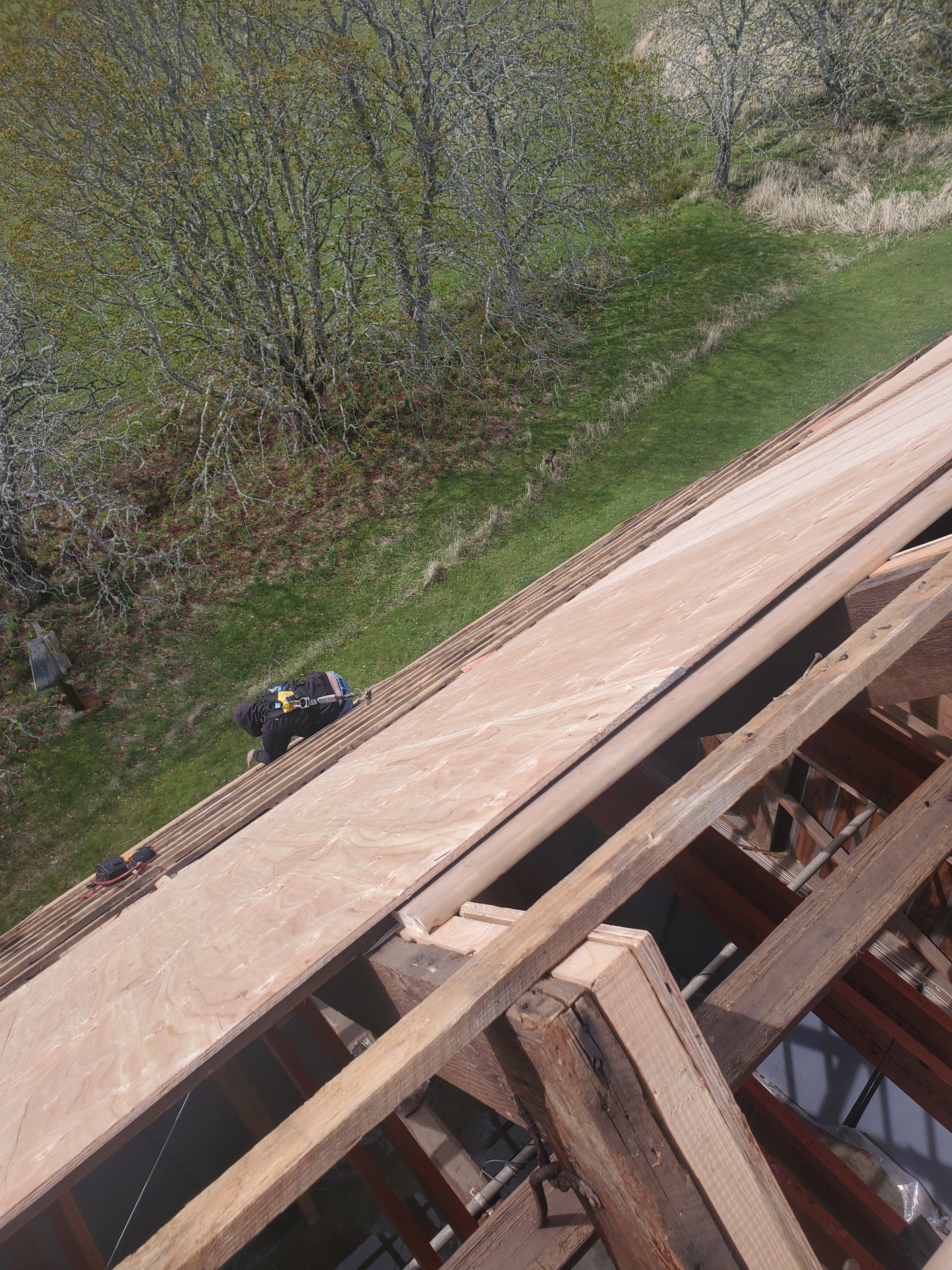 Jeffrey Rubinoff Sculpture Park — roof installation in progress by Nelson Roofing (photo 7)