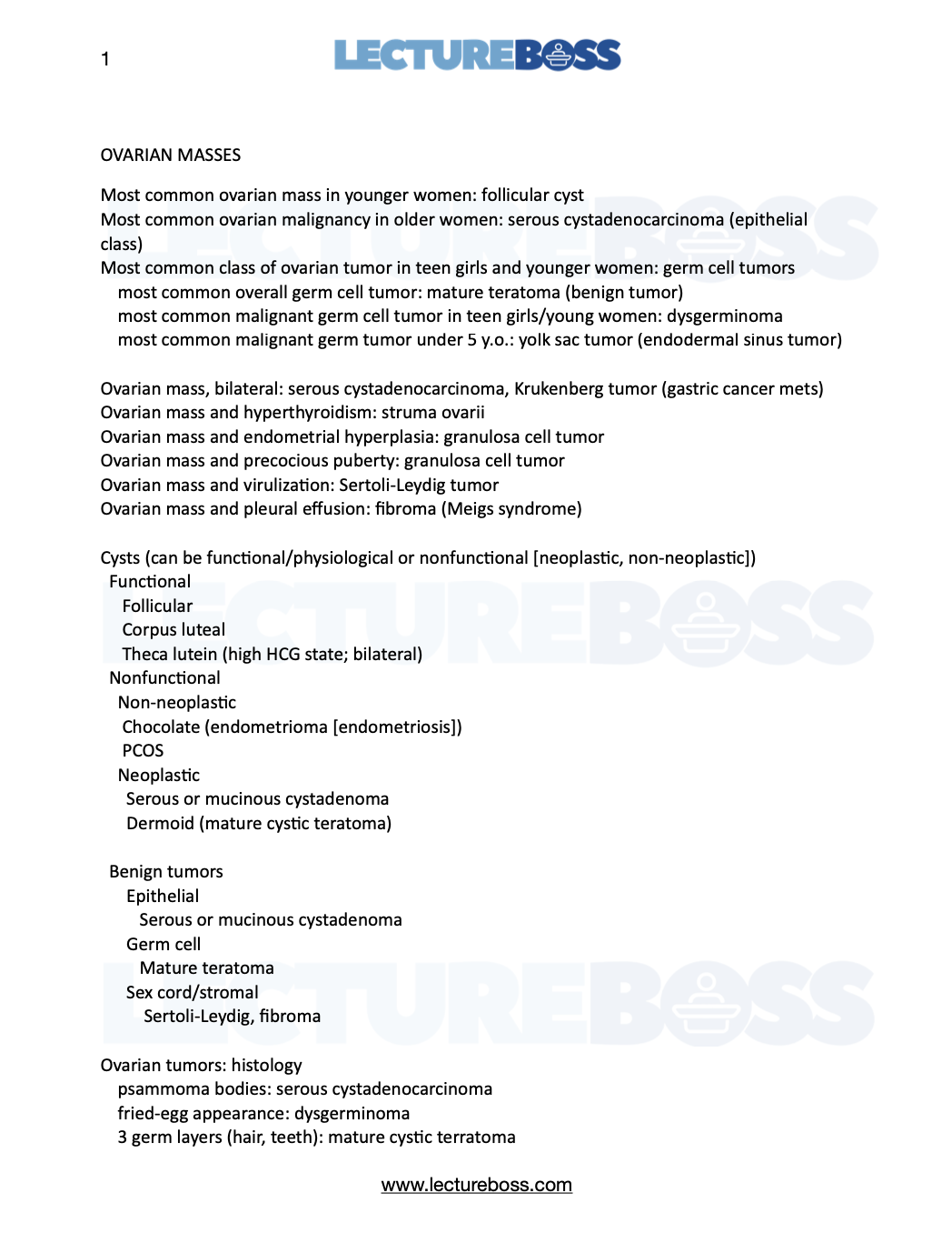 image of a person researching online (for a social media and communication)