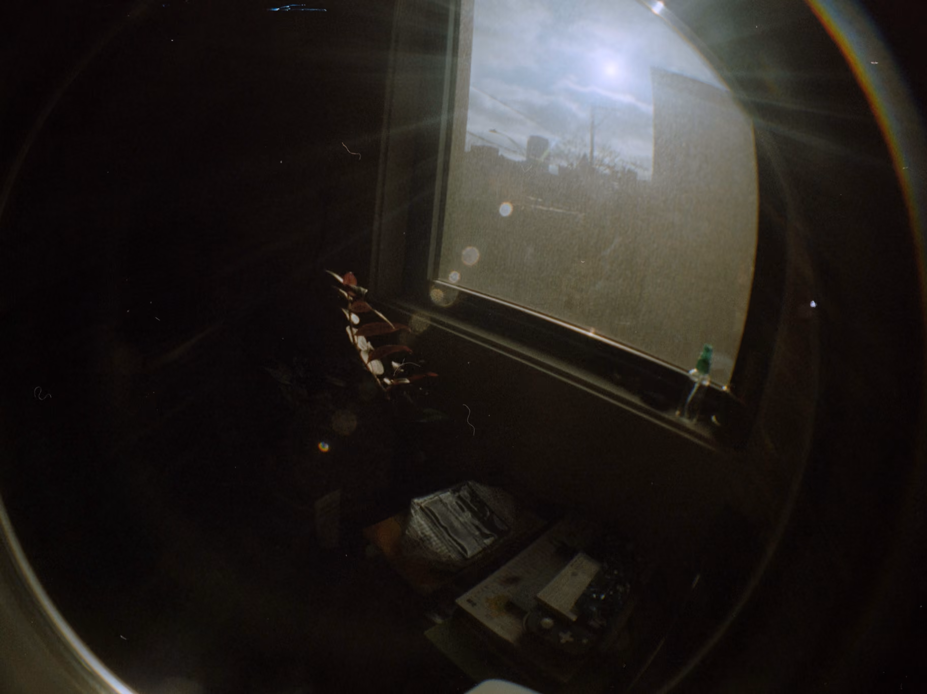 Sunlight shining through a window onto a dark room with a plant and stacked items.