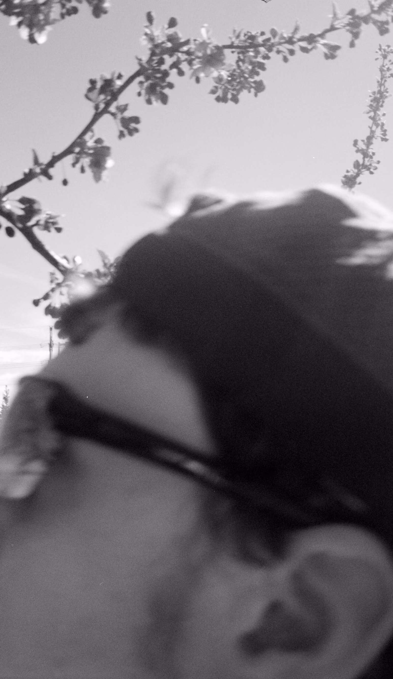Close-up black and white photo of a person's face with glasses and a beanie, branches in background.