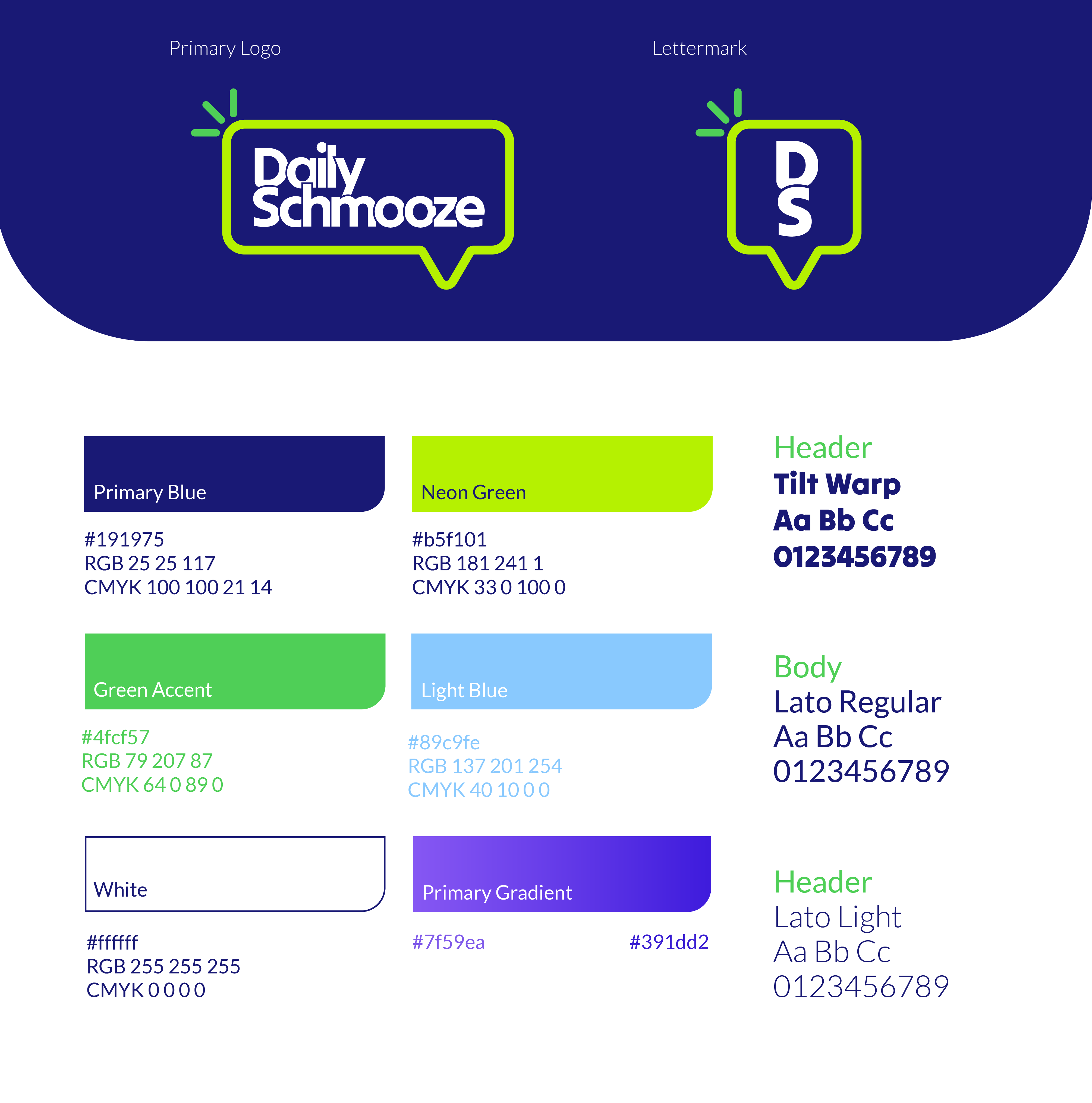 Daily Schmooze logo and lettermark, color swatches with codes, and font style examples for headers and body text.