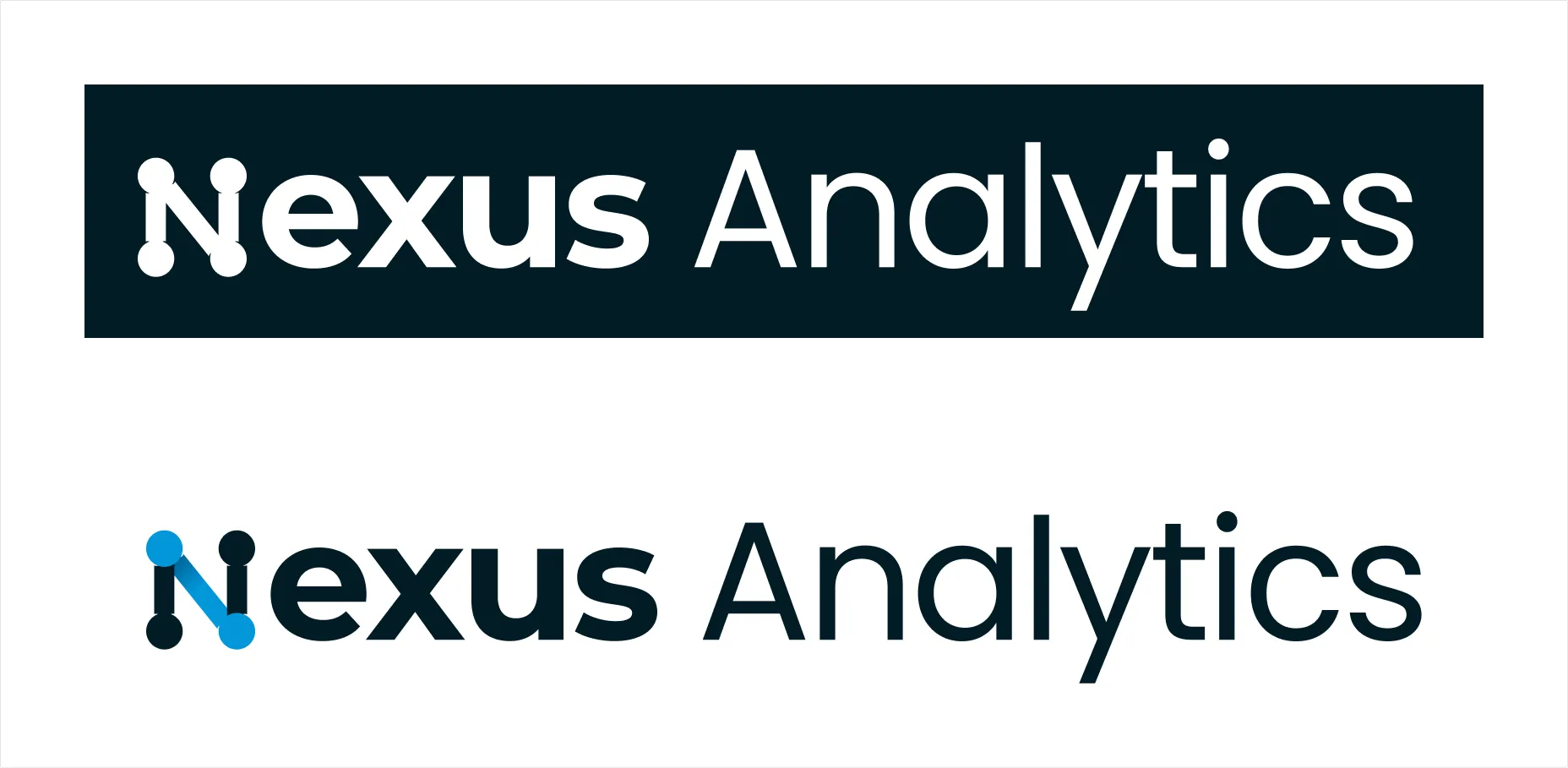 image of Nexus Analytics Light and Dark logo
