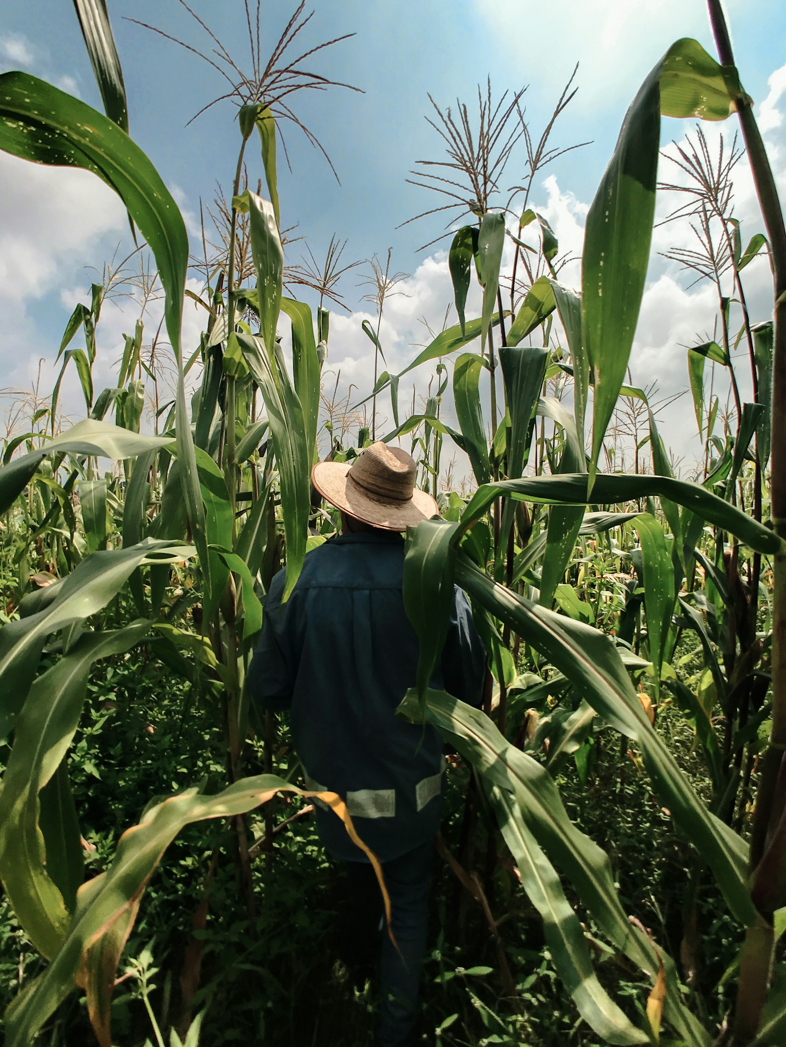 Farmers and Rural Workers: Protecting Your Teeth and Lips on the Land