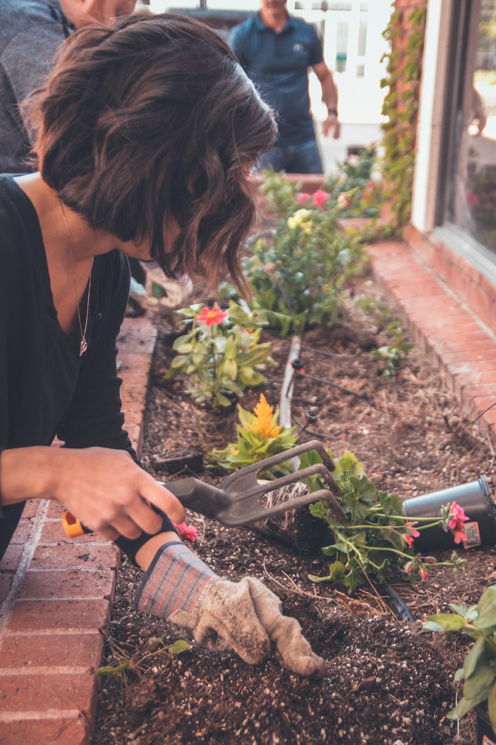 Landscaper pruning thorny plants, illustrating minor mouth-area injury risks in gardening work