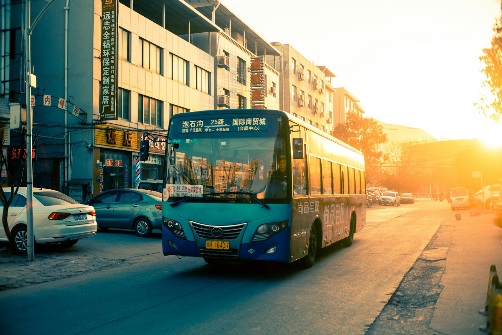 Bus and Train Drivers: Dental Health on Split Shifts and Long Routes