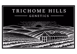 Trichome Hills
