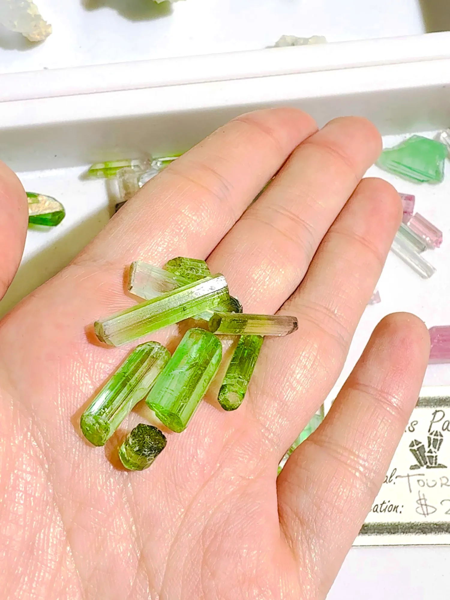 Gem Faire gem and jewelry show gallery photo