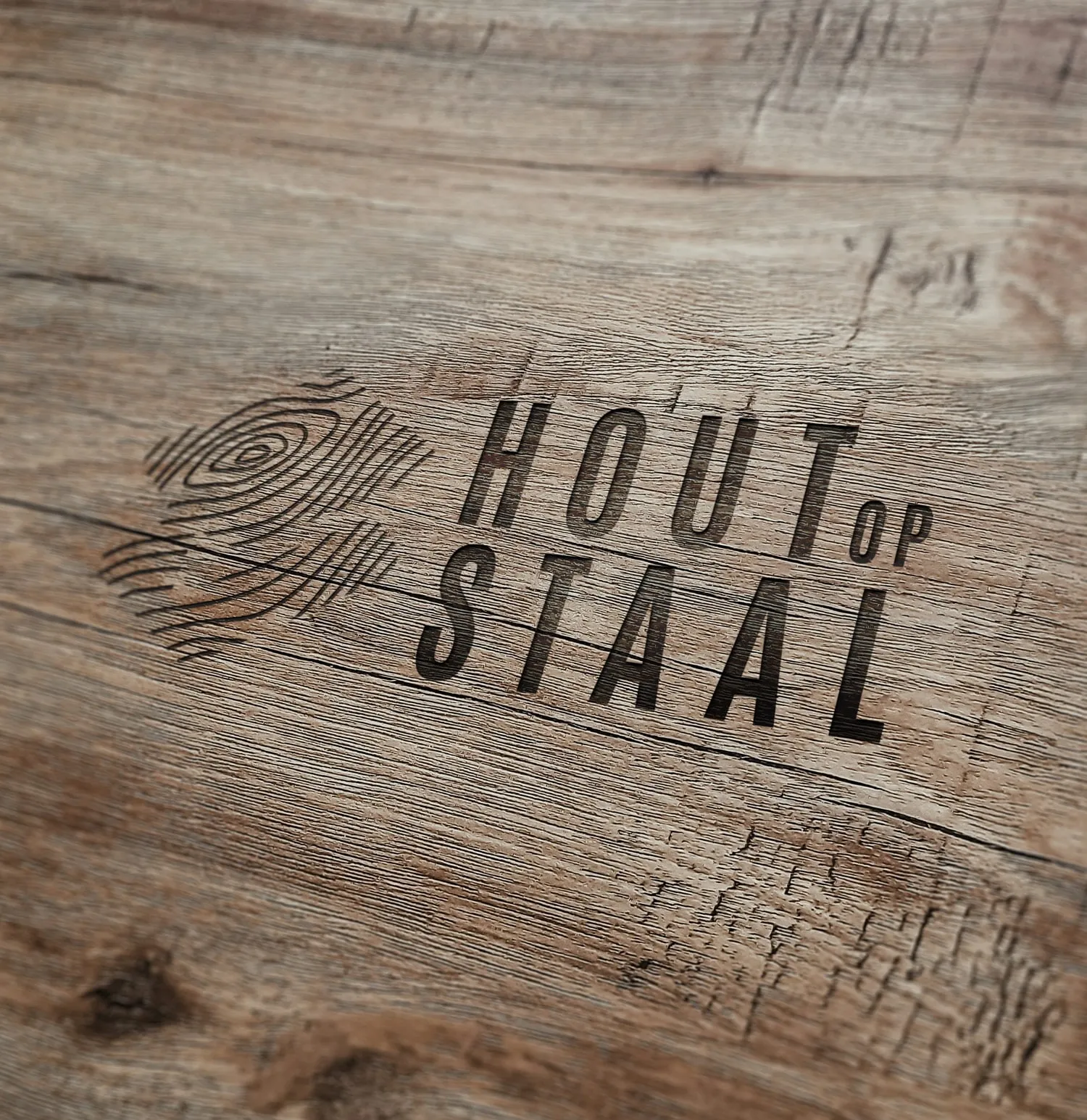 logo hout op staal